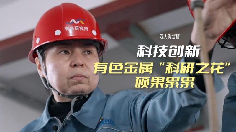 疫情数据可视化：如何构建高效的数据展示平台